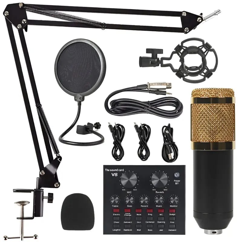 BM 800 condancer Mike