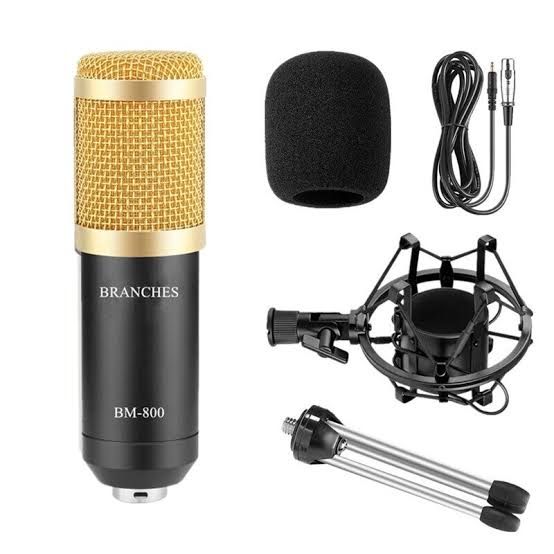 BM 800 condancer Mike